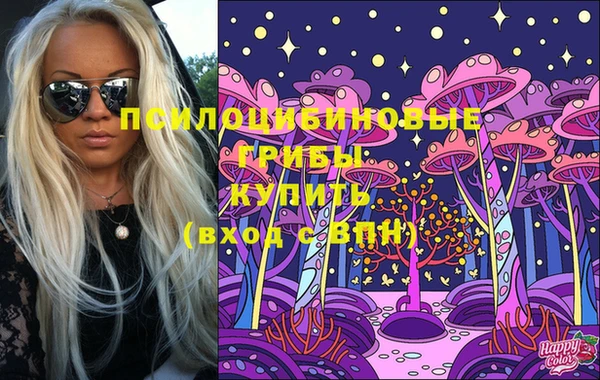 прущие крисы Арсеньев