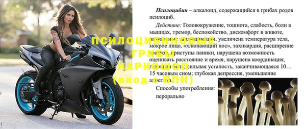 прущие крисы Арсеньев